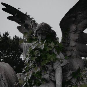 Meet your Posher, Kailey